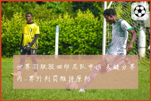 世界羽联驳回印尼队申诉 关键分界内_界外判罚维持原判