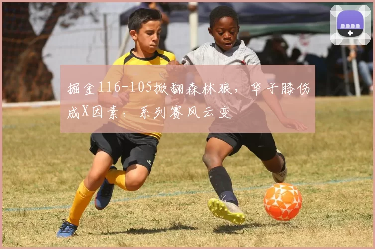 掘金116-105掀翻森林狼，华子膝伤成X因素，系列赛风云变