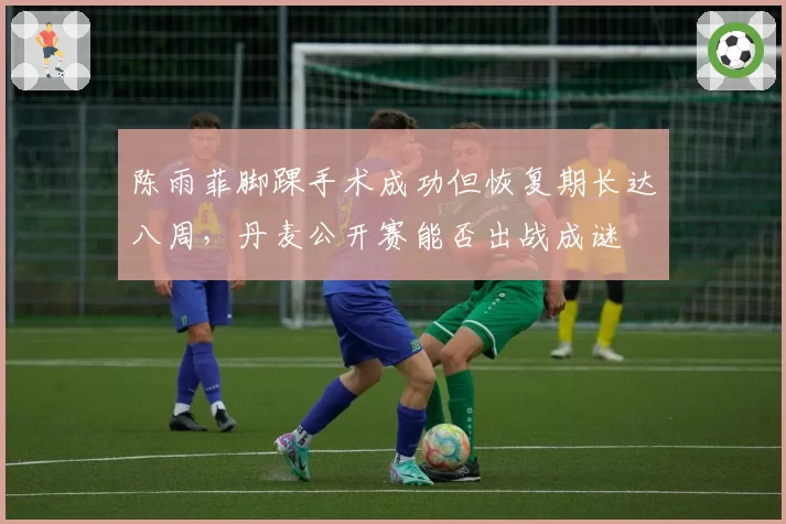 陈雨菲脚踝手术成功但恢复期长达八周，丹麦公开赛能否出战成谜
